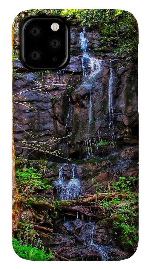 Roadside Treasure - Phone Case