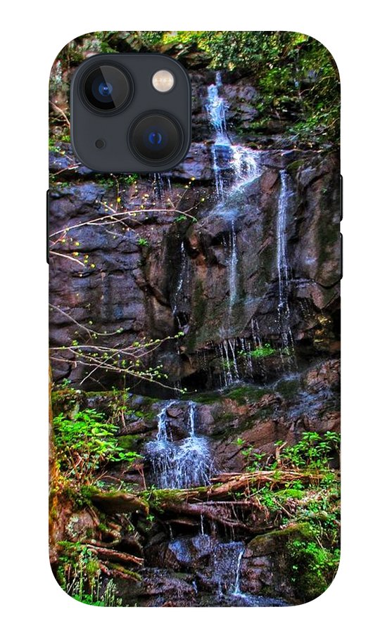 Roadside Treasure - Phone Case