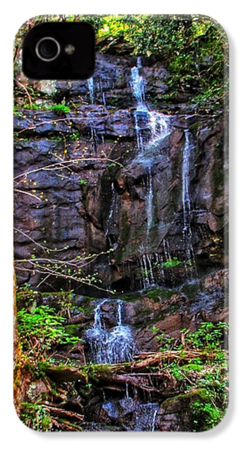 Roadside Treasure - Phone Case