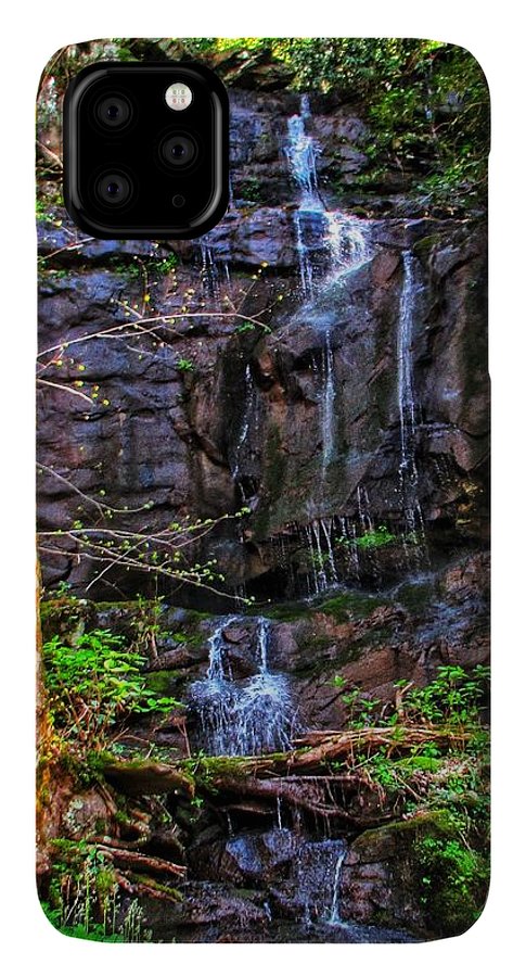 Roadside Treasure - Phone Case