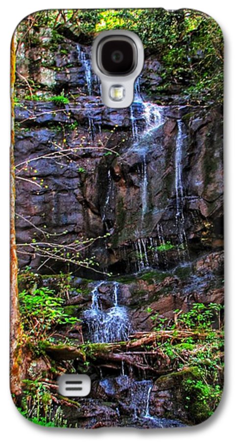 Roadside Treasure - Phone Case