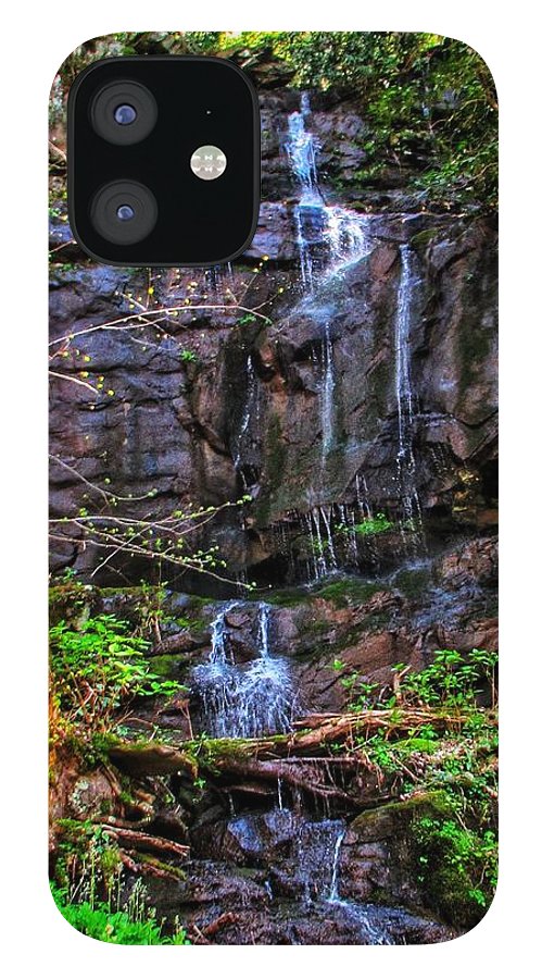 Roadside Treasure - Phone Case