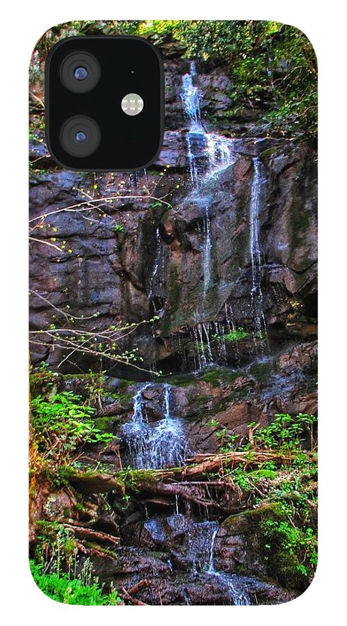 Roadside Treasure - Phone Case