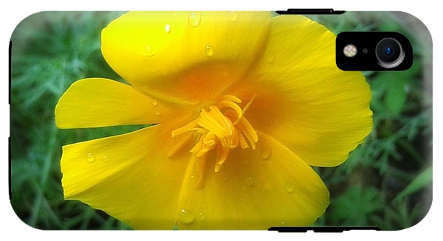Sunny Bloom - Phone Case