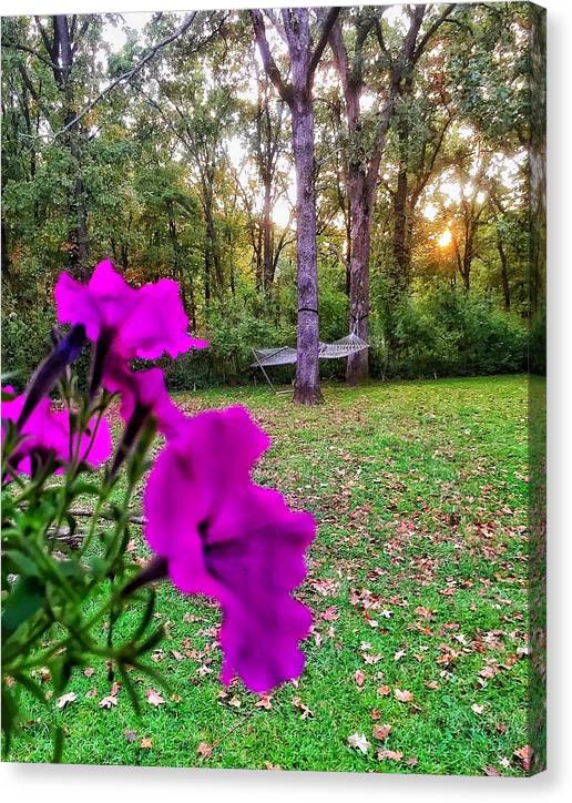 Backyard Bliss - Canvas Print