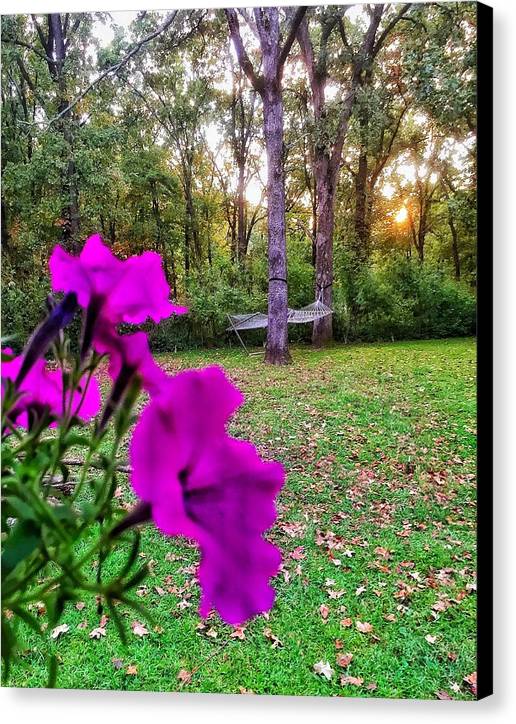 Backyard Bliss - Canvas Print