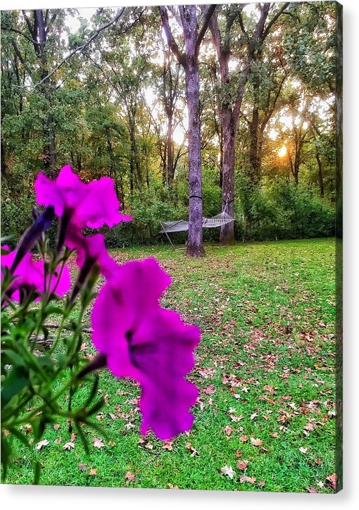 Backyard Bliss - Acrylic Print