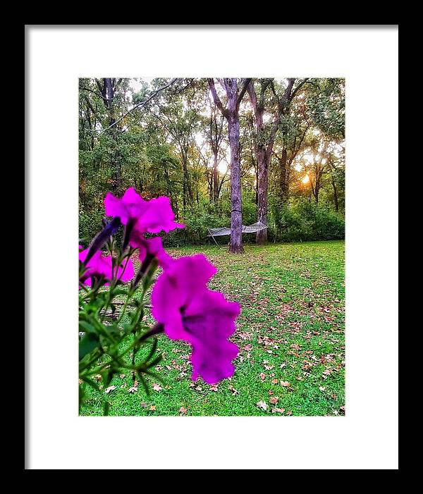 Backyard Bliss - Framed Print