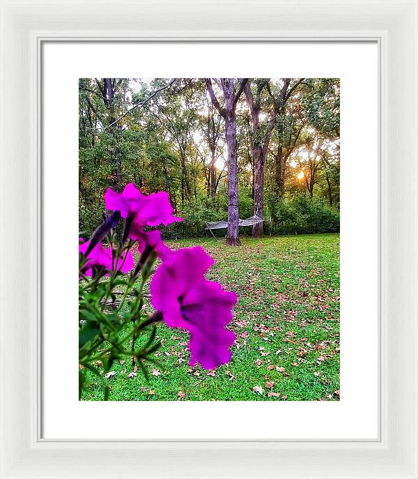 Backyard Bliss - Framed Print