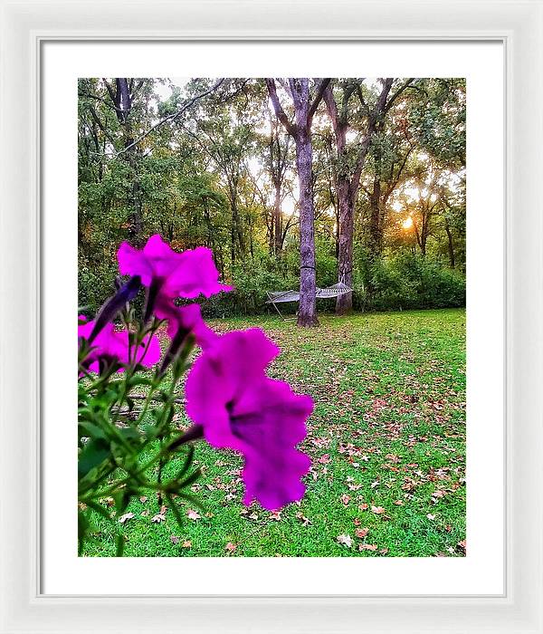 Backyard Bliss - Framed Print