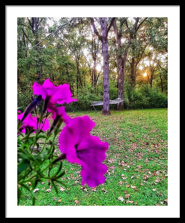 Backyard Bliss - Framed Print