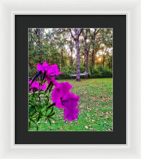 Backyard Bliss - Framed Print