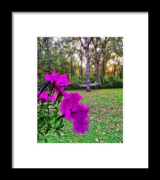 Backyard Bliss - Framed Print