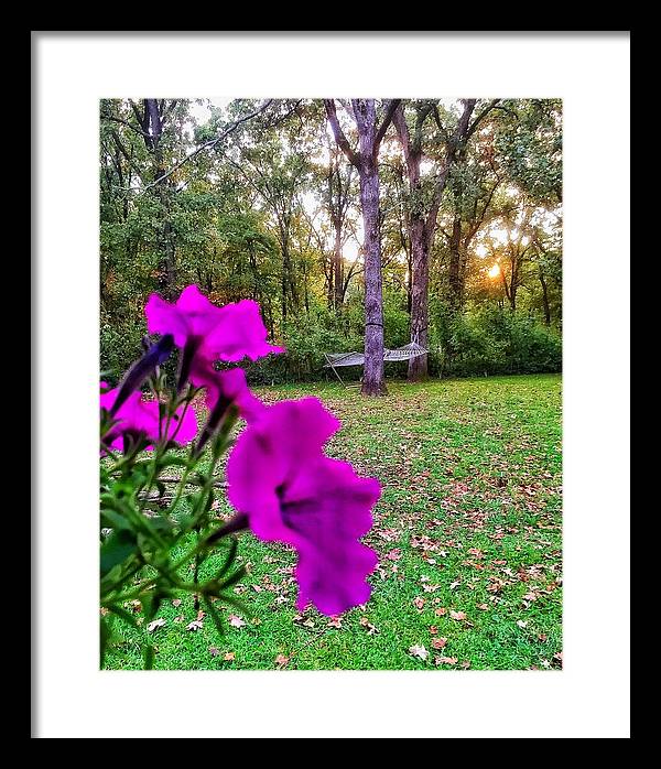 Backyard Bliss - Framed Print