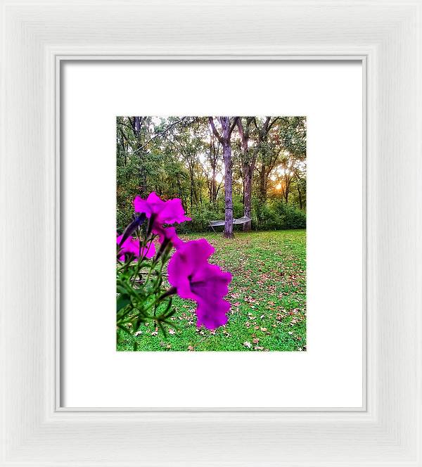 Backyard Bliss - Framed Print