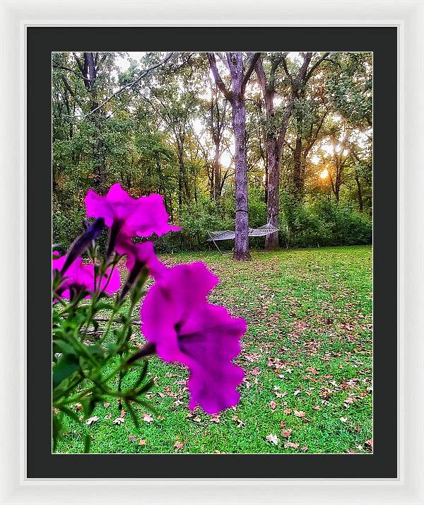 Backyard Bliss - Framed Print