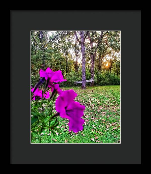 Backyard Bliss - Framed Print