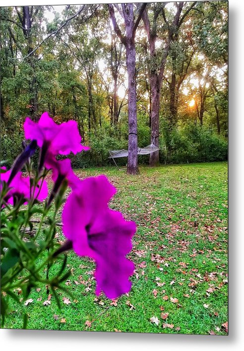 Backyard Bliss - Metal Print