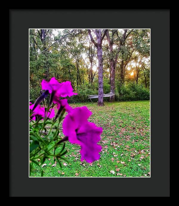 Backyard Bliss - Framed Print