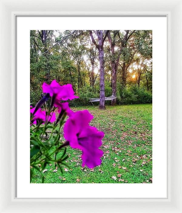 Backyard Bliss - Framed Print