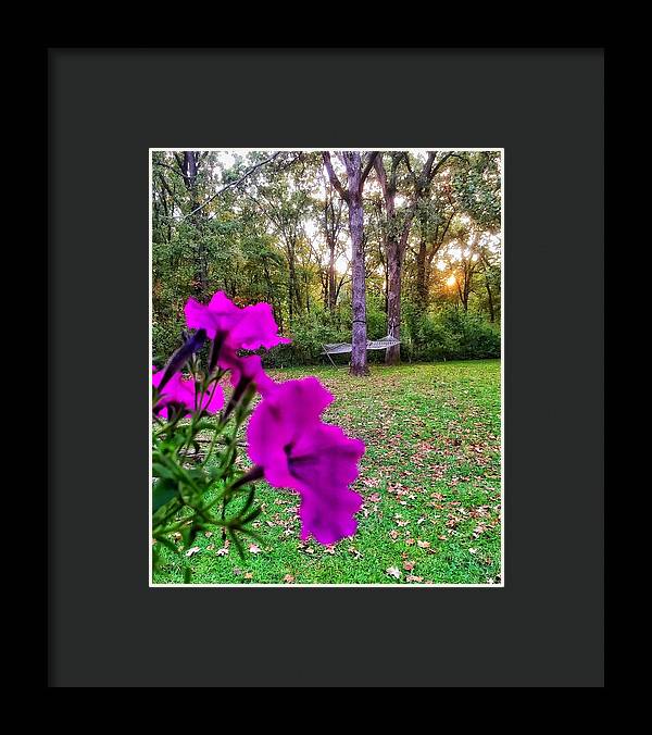 Backyard Bliss - Framed Print