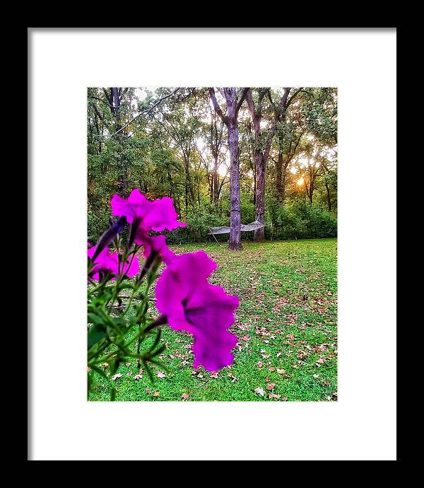 Backyard Bliss - Framed Print