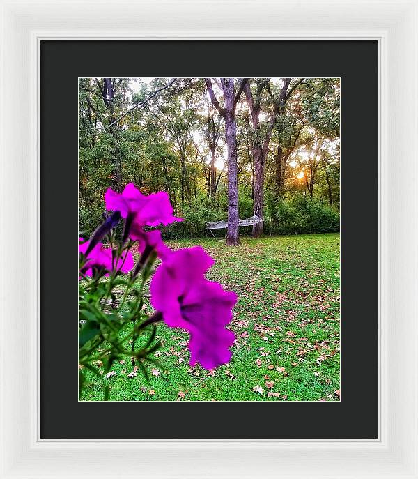 Backyard Bliss - Framed Print