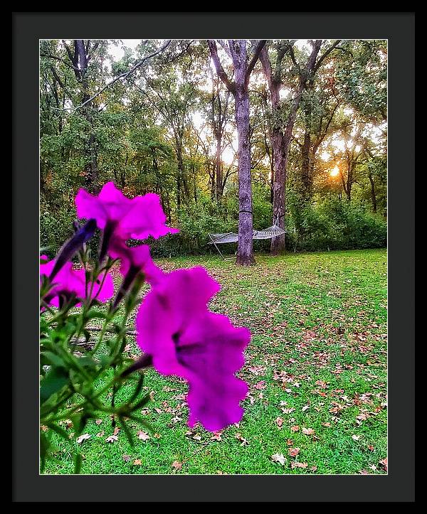 Backyard Bliss - Framed Print