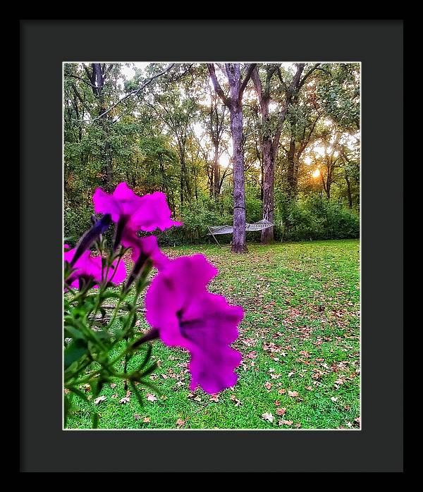 Backyard Bliss - Framed Print