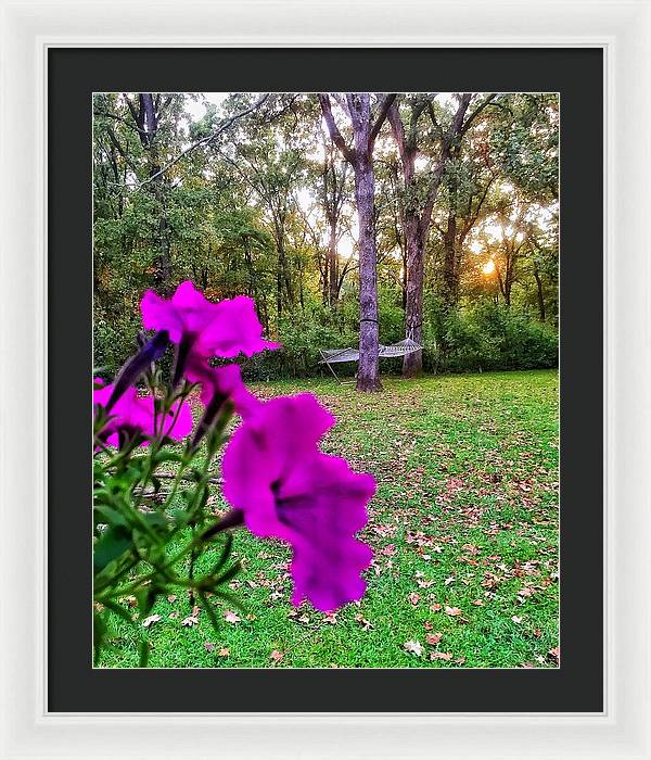 Backyard Bliss - Framed Print