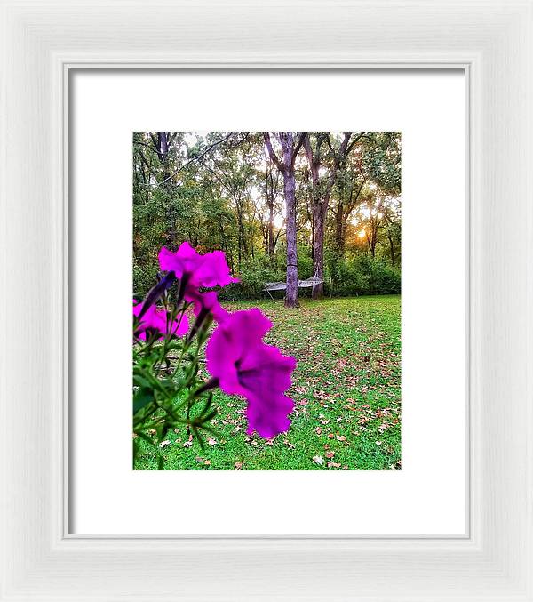 Backyard Bliss - Framed Print