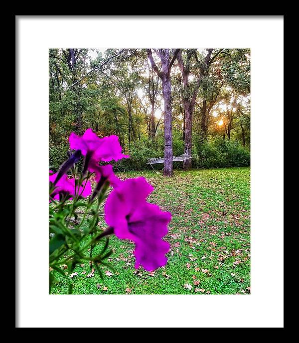 Backyard Bliss - Framed Print