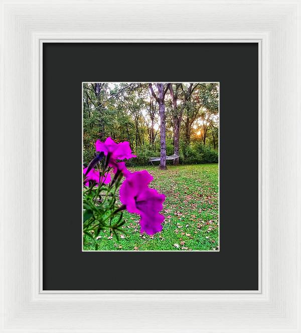 Backyard Bliss - Framed Print