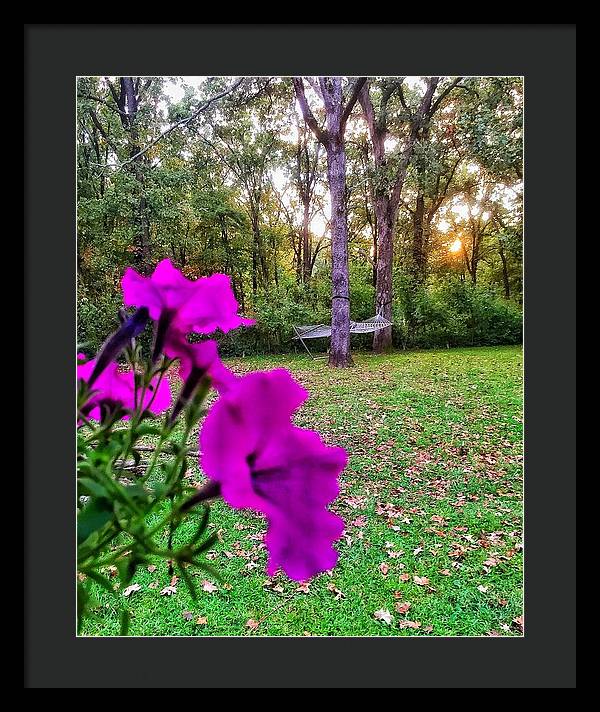 Backyard Bliss - Framed Print