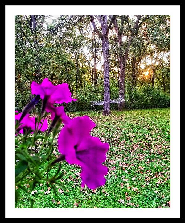 Backyard Bliss - Framed Print