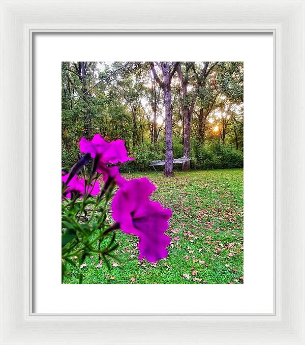 Backyard Bliss - Framed Print