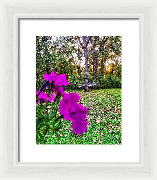 Backyard Bliss - Framed Print