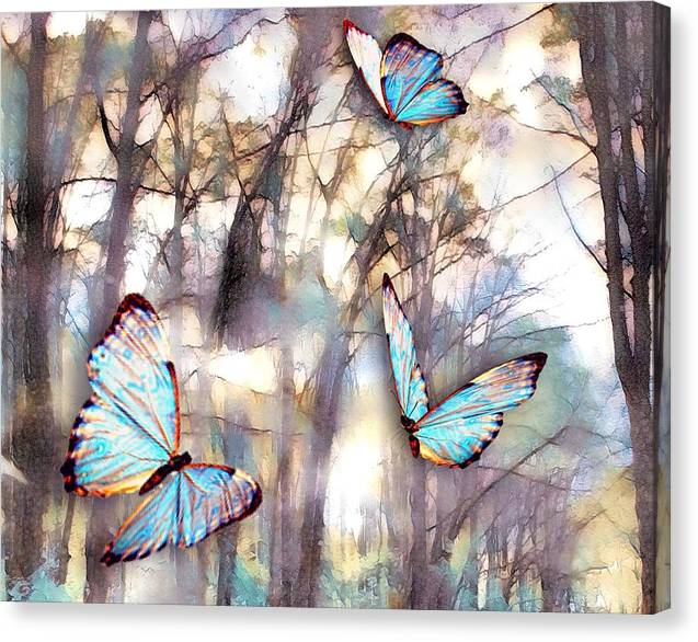 Butterflies Fly - Canvas Print