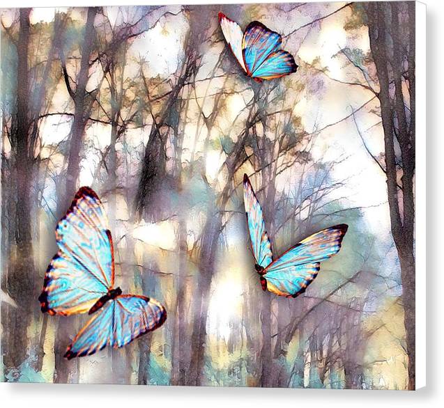 Butterflies Fly - Canvas Print