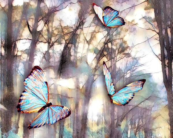 Butterflies Fly - Art Print