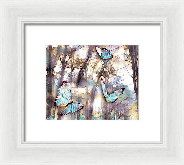 Butterflies Fly - Framed Print