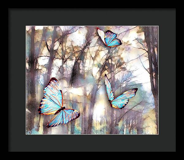 Butterflies Fly - Framed Print