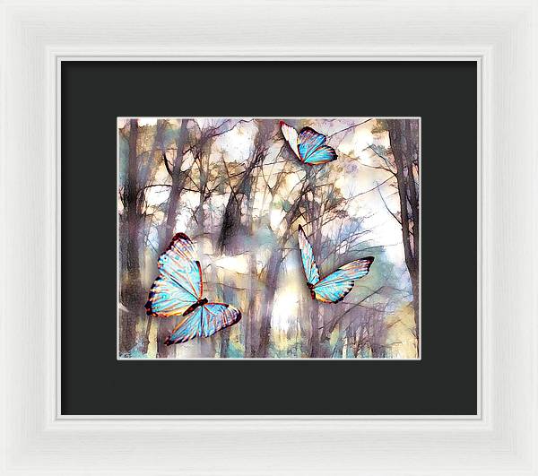 Butterflies Fly - Framed Print