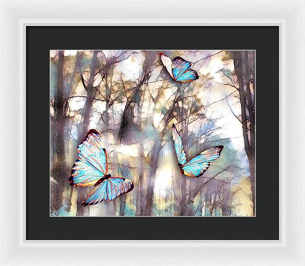 Butterflies Fly - Framed Print