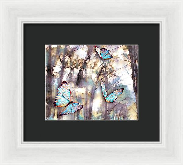 Butterflies Fly - Framed Print