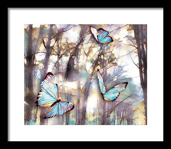 Butterflies Fly - Framed Print