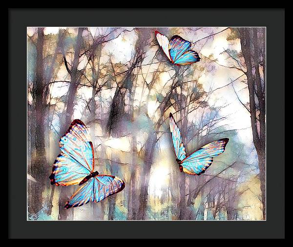 Butterflies Fly - Framed Print