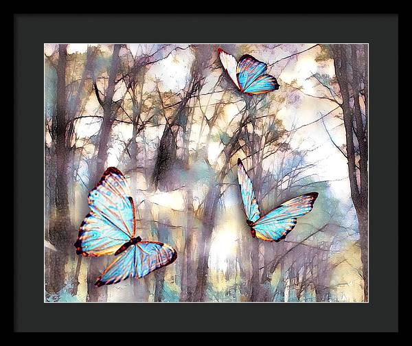 Butterflies Fly - Framed Print