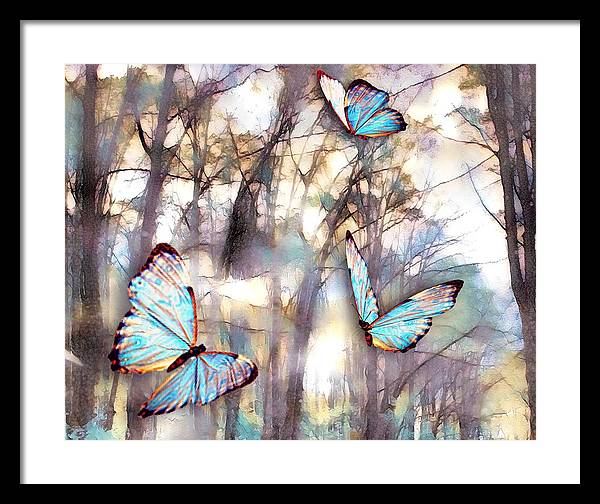 Butterflies Fly - Framed Print