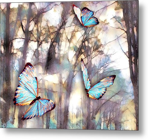 Butterflies Fly - Metal Print